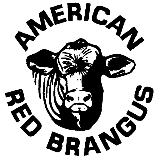 Arba Favicon