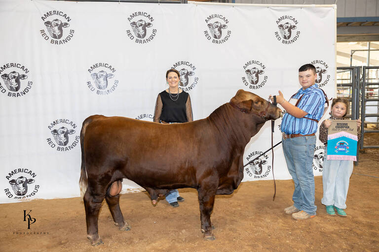Reserve Bull Reserve Bull
